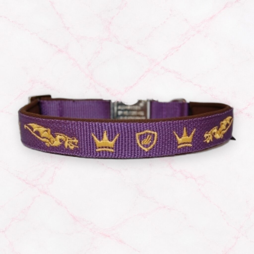 HALSBAND DRAGONHEART