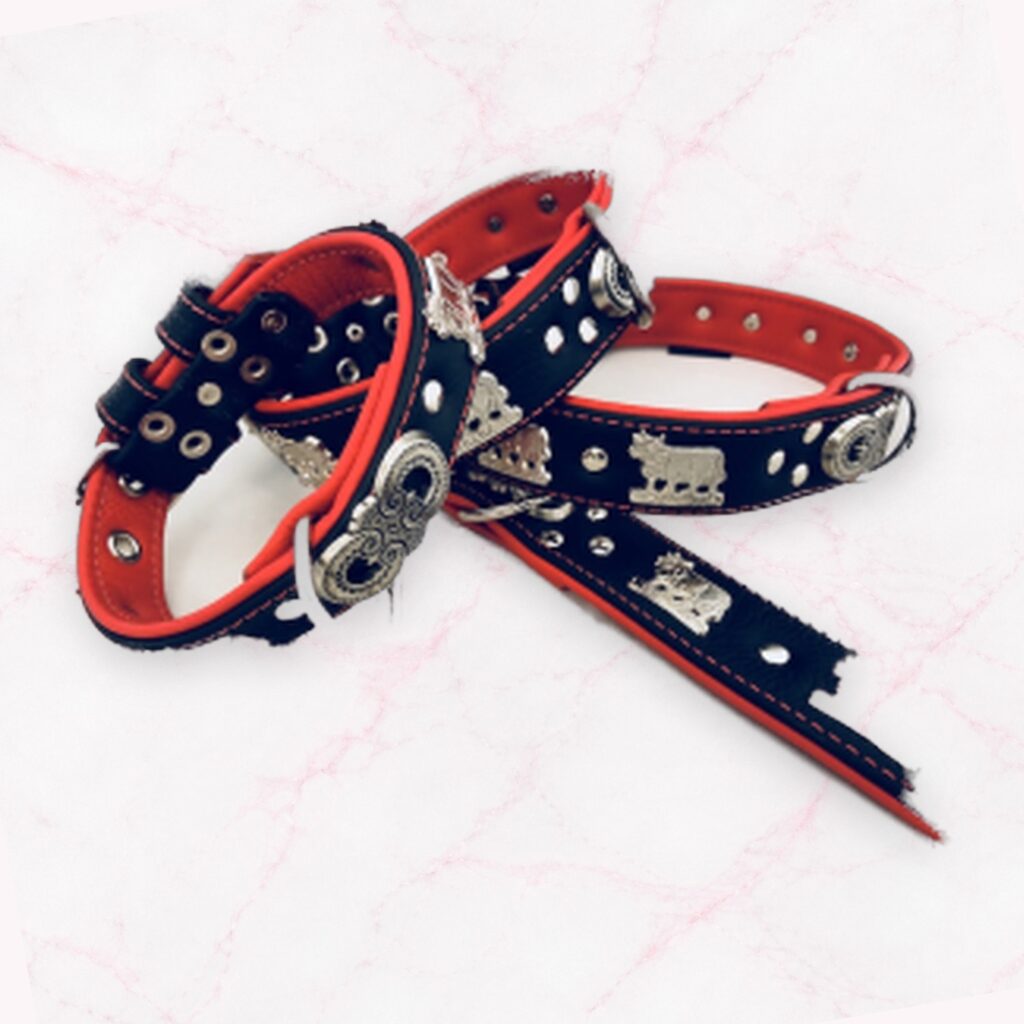 Appenzeller Lederhalsband vernickelt