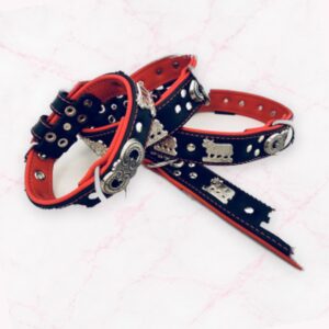 Appenzeller Lederhalsband vernickelt