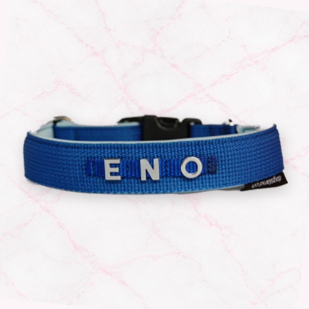 Halsband mit Chrome-Buchstaben