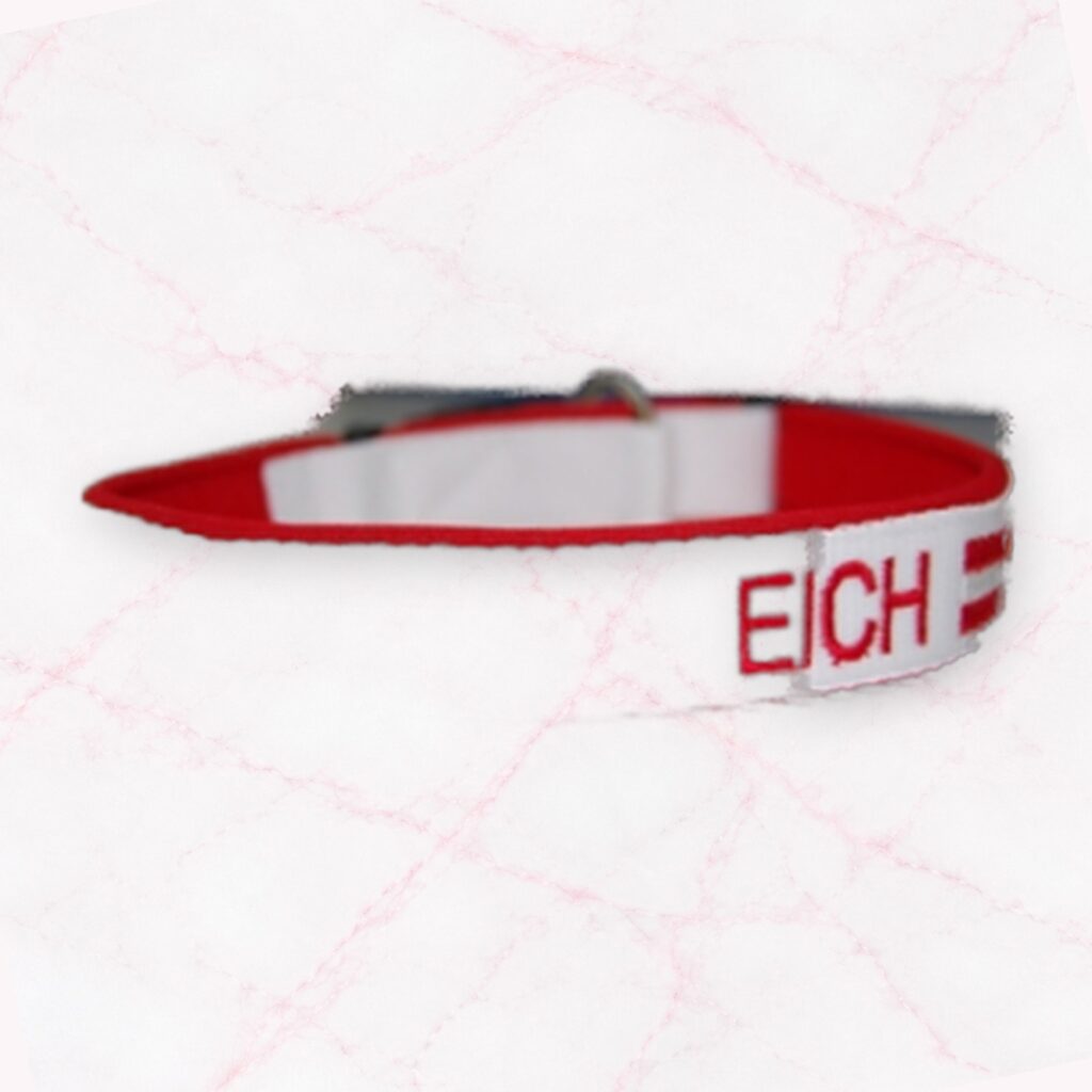Fanhalsband „ÖSTERREICH“