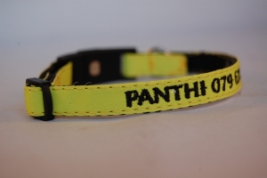 Katzenhalsband "REFLEX" mit Bestickung