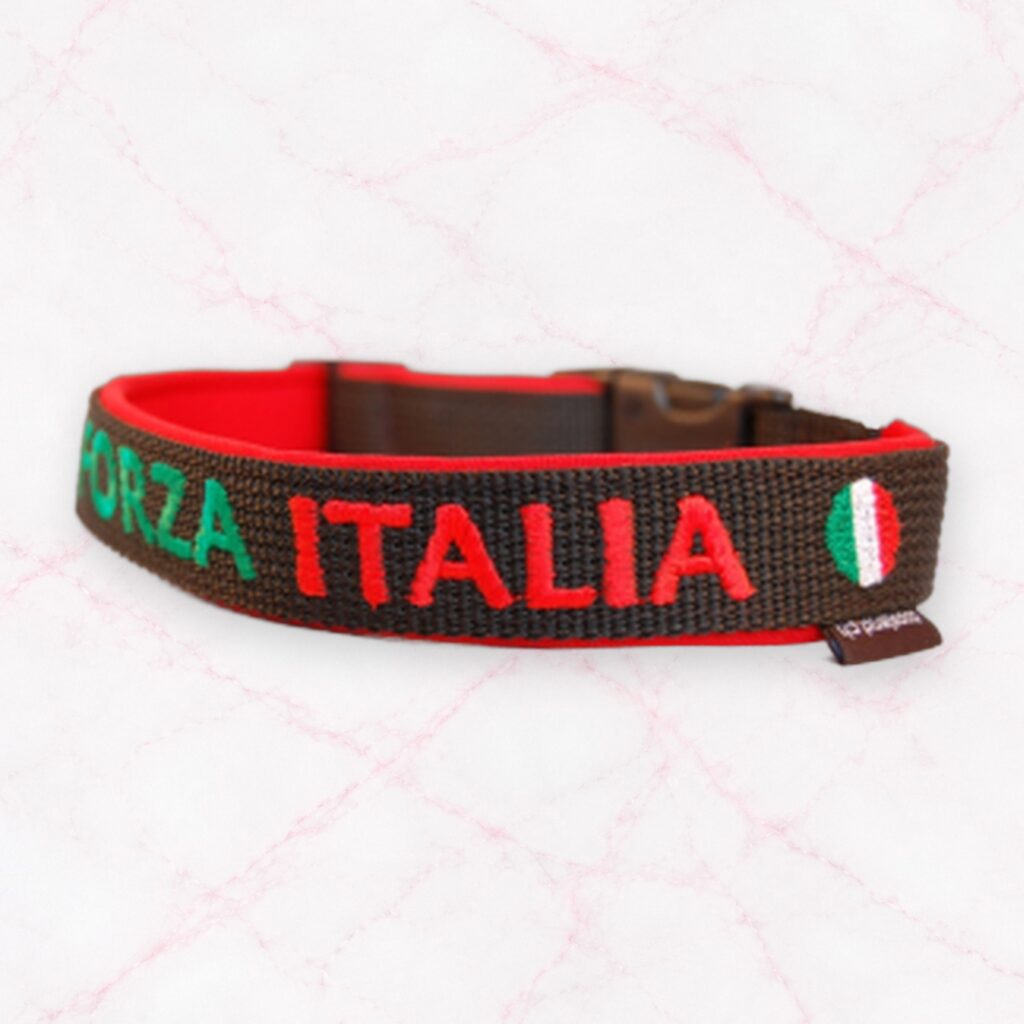 Fanhalsband „FORZA ITALIA“