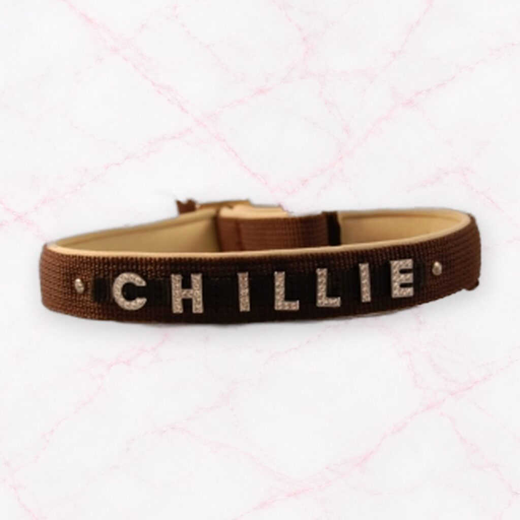 Zugstop Halsband mit Strassbuchstaben