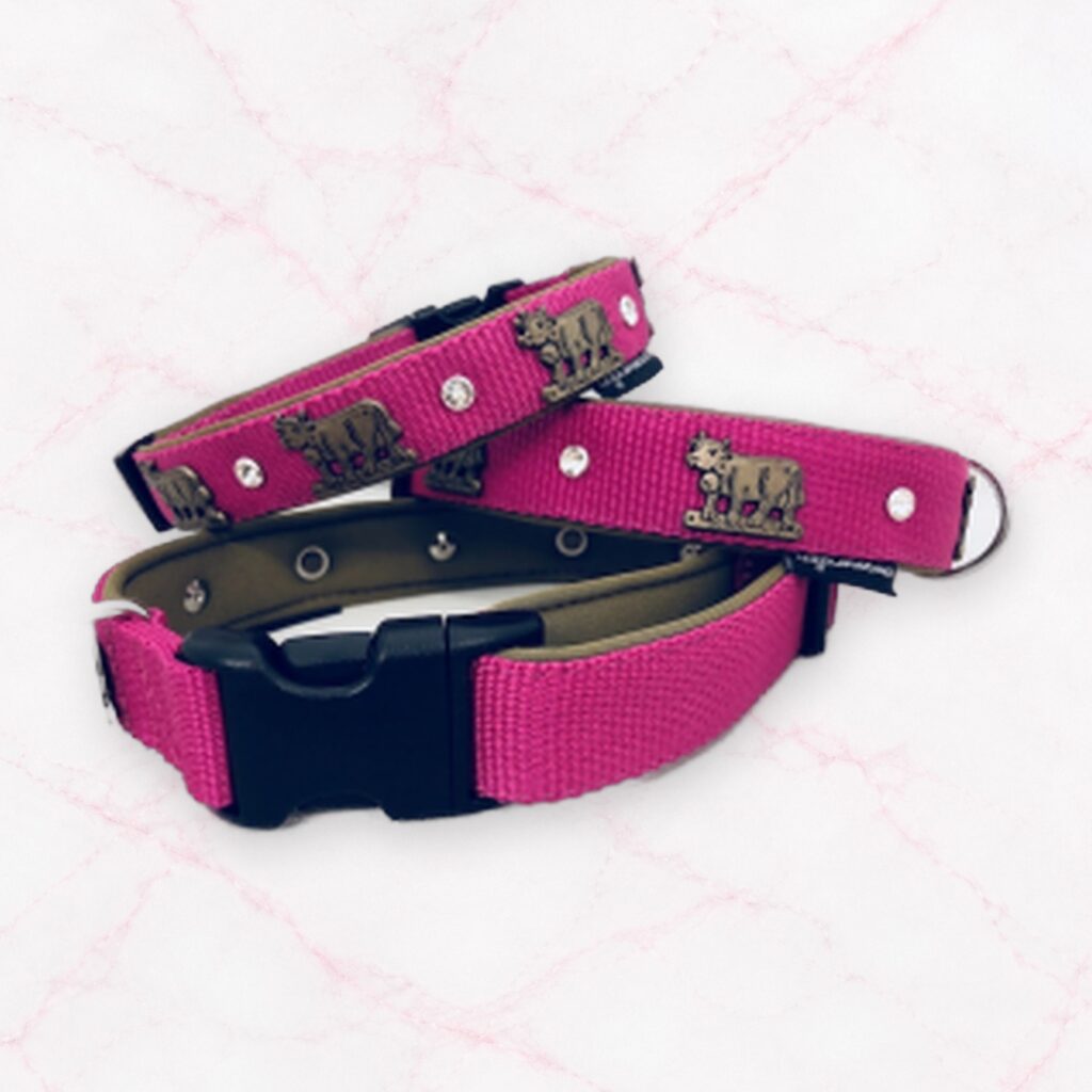 Appenzeller Hundehalsband pink/altmessing