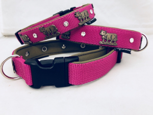 Appenzeller Hundehalsband pink/altmessing