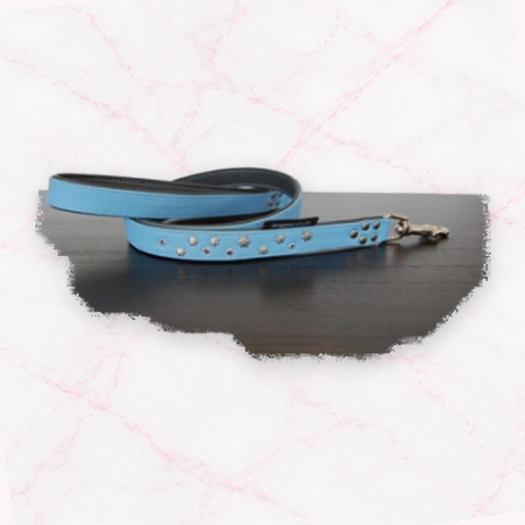 Leder Schlaufenleine mit Bestickung