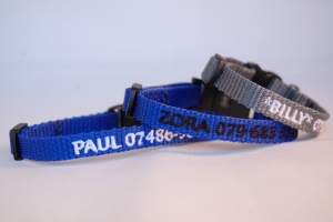 Katzenhalsband "NYLON" mit Bestickung