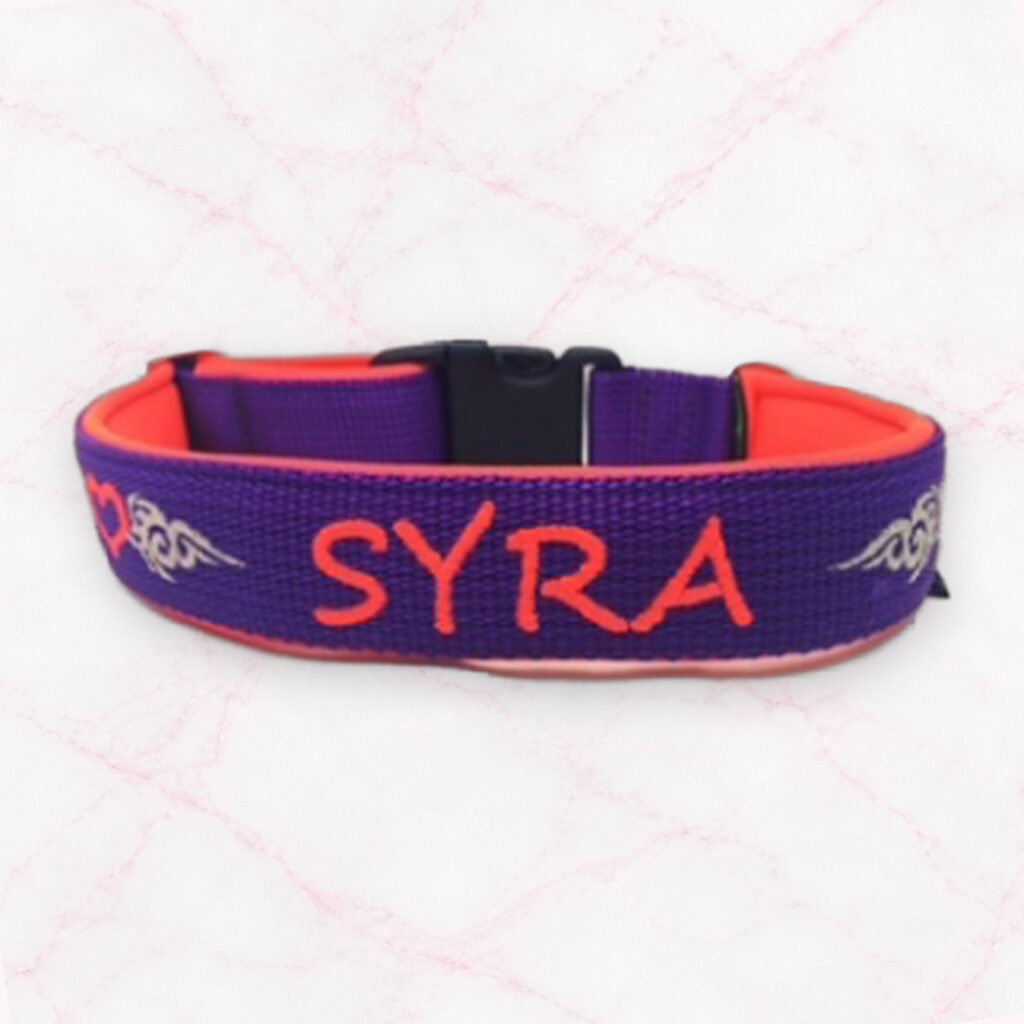 Hundehalsband mit Name