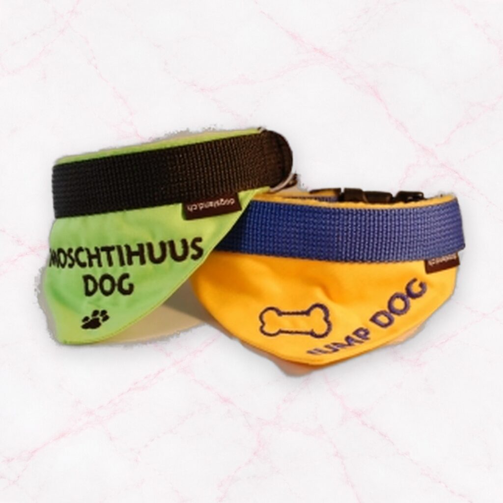 2 in 1: Halstuch und Halsband mit Bestickung