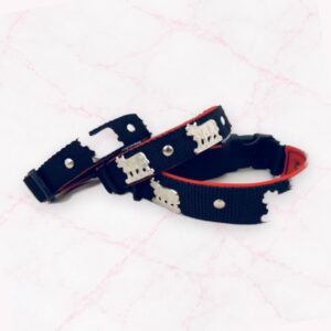 Hundehalsband Appenzell – Robust, fellschonend & zeitlos