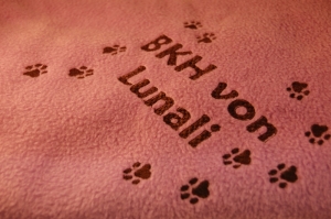 Katzen - Kuscheldecke mit Bestickung