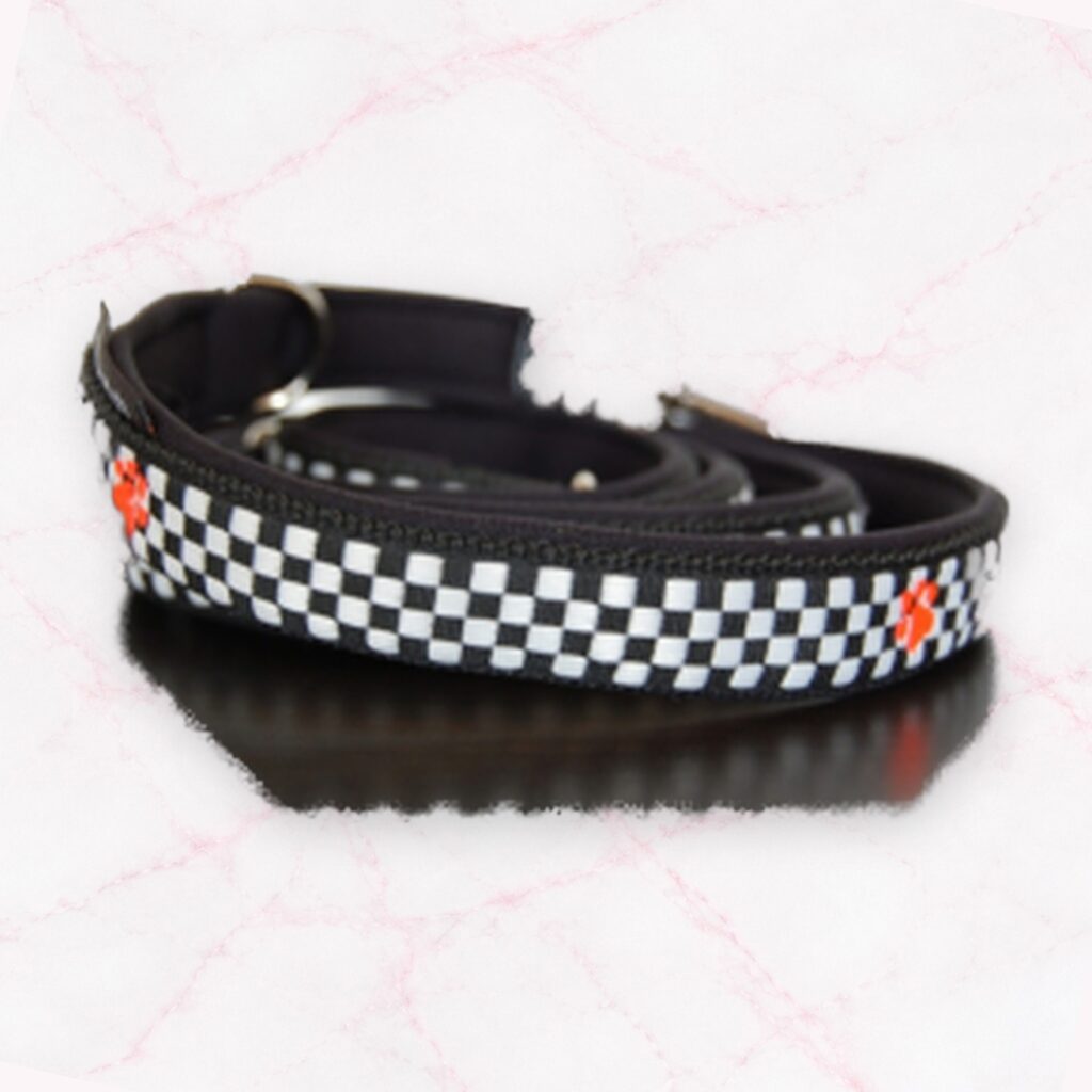 Leine mit Designband
