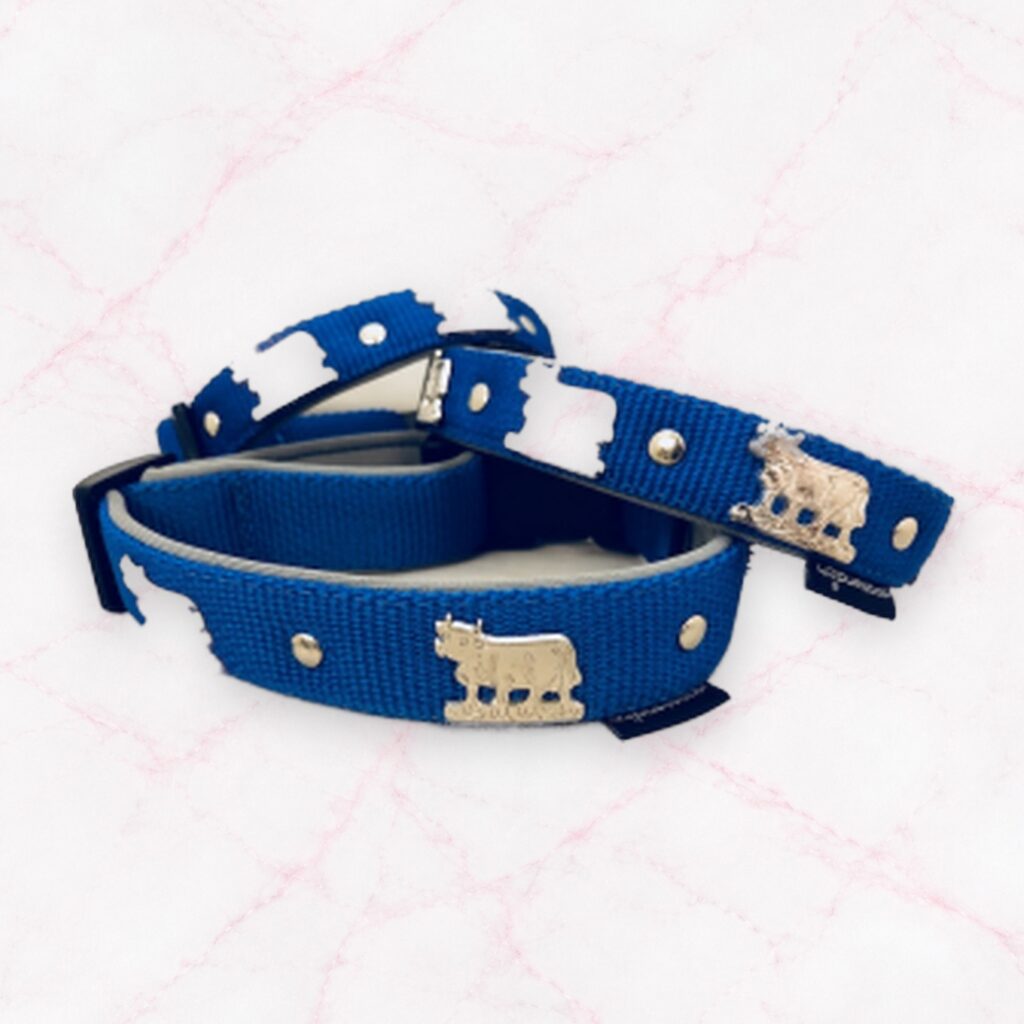 Appenzeller Halsband blau/silber