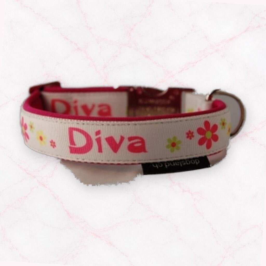 HALSBAND Diva