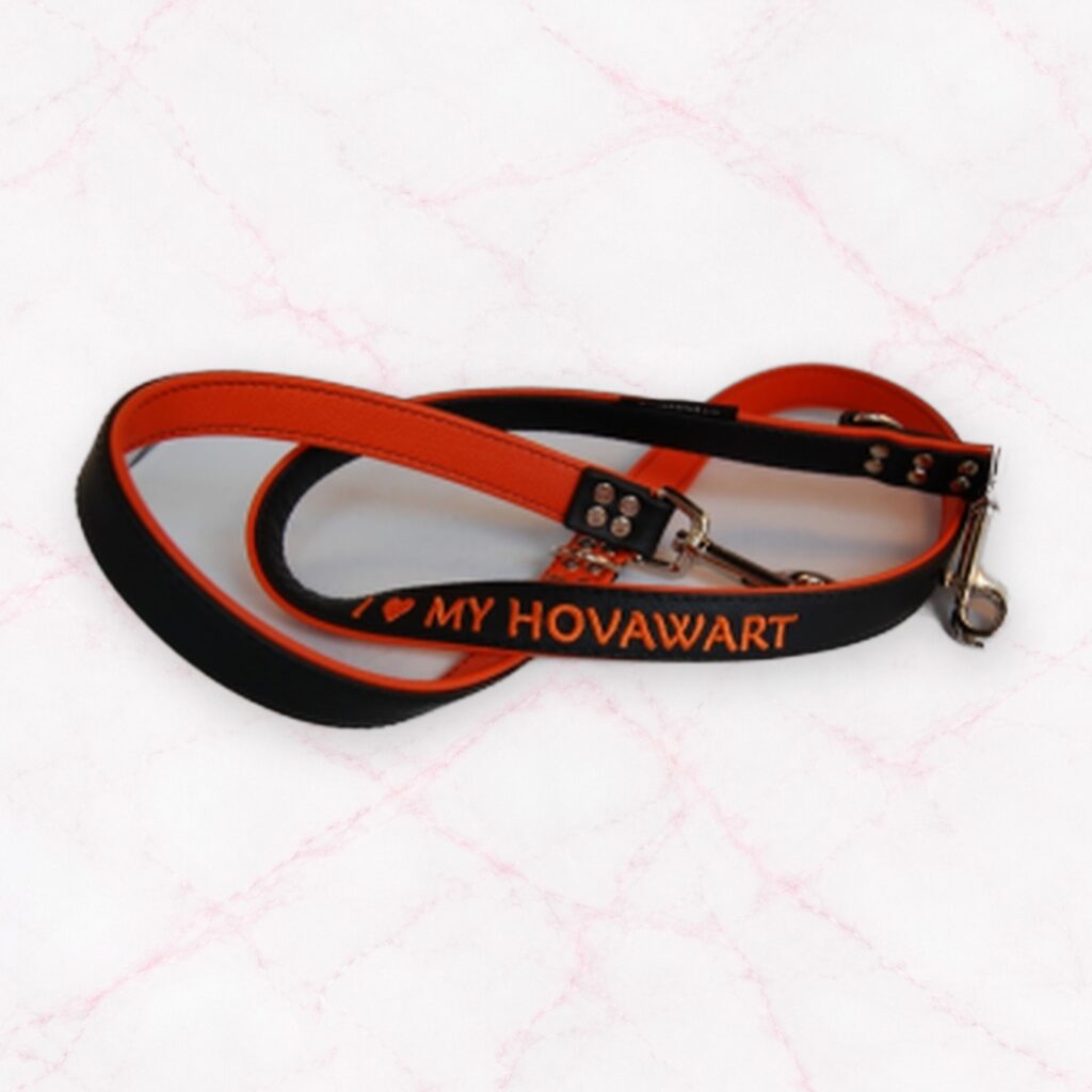 Leder Kombileine mit Bestickung