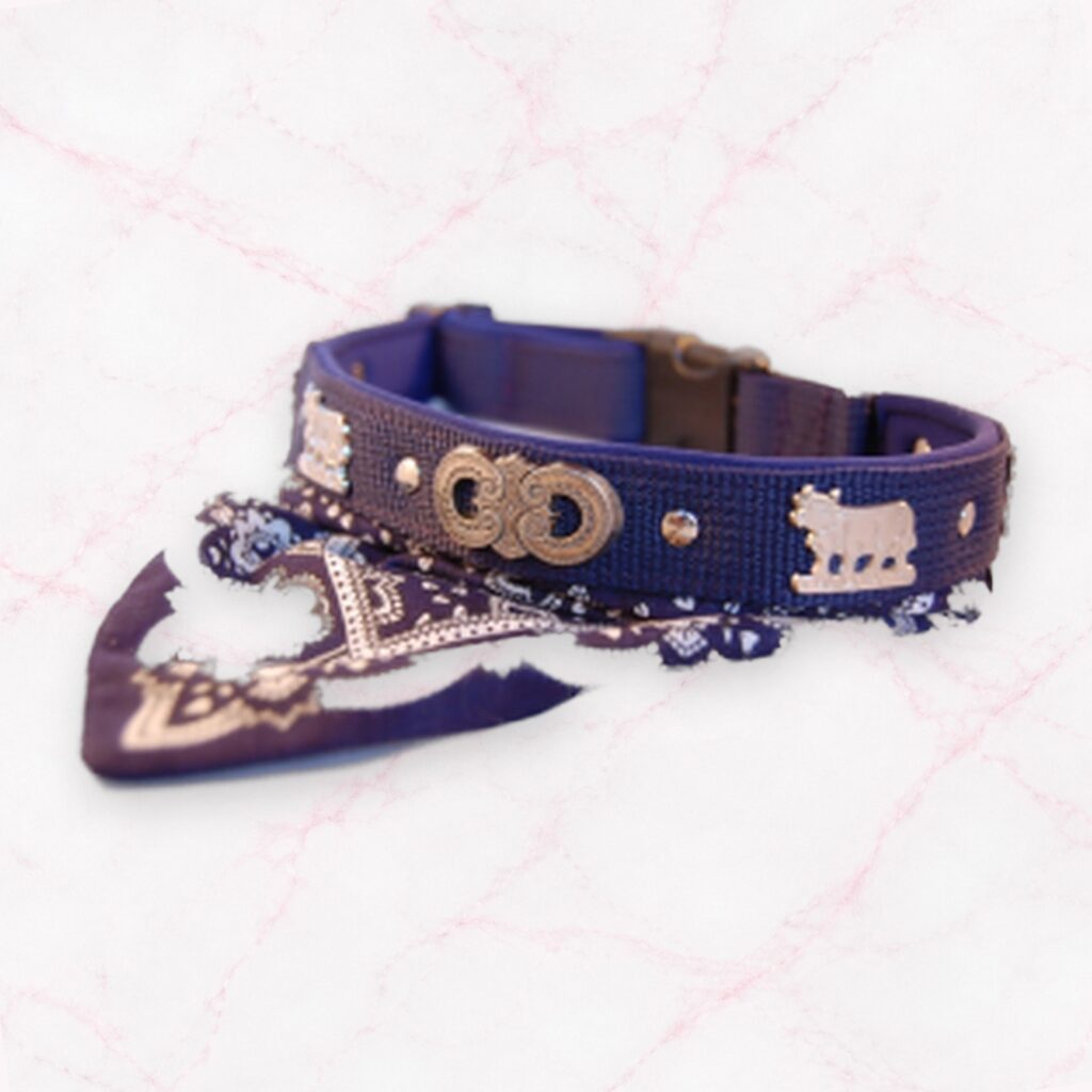 2 in 1: Appenzeller Halsband mit Halstuch