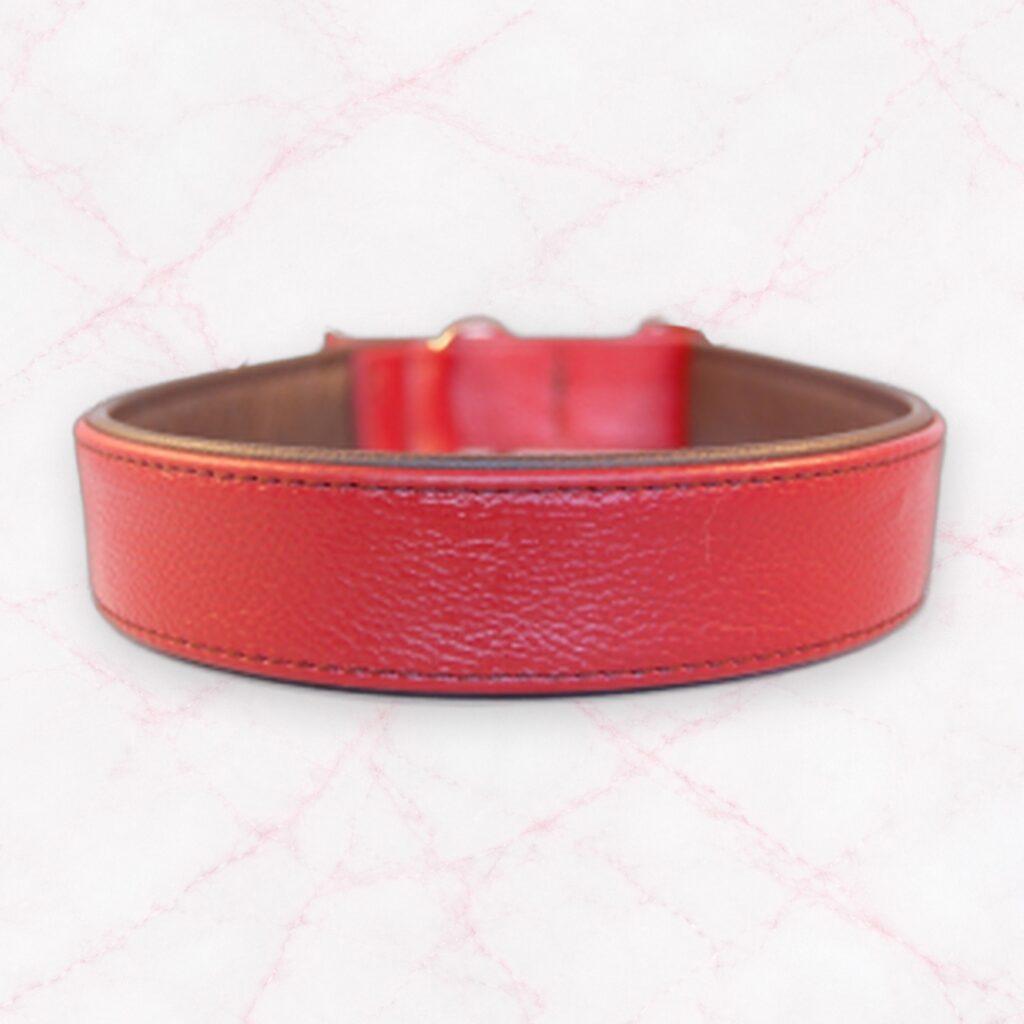 Halsband Leder mit Zugstop